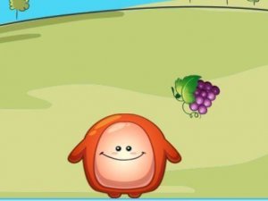 Fruit Drop Catcher Puzzle