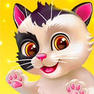 Feline Style Studio