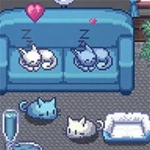 Whisker Haven Cat Sanctuary