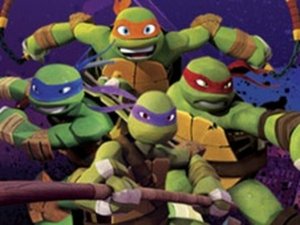 Hero Turtles Rooftop Action
