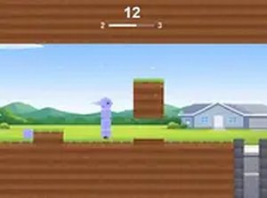 Poultry Pile Challenge
